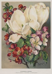 Arbustos en flor